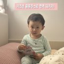 쭌이네야채과일 | 아기주스 추천! 키즈텐 콜롱주스로 면역 지키기🧃
