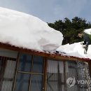 제비1리 이미지