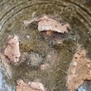 인천경서동녹청자요지 이미지