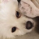 소근소근 이미지