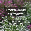 순천탄성코트_순천정원넥스빌아파트 베란다 페인트작업(플러스탄성)