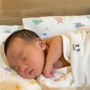 와튼젤리 산후조리원(용산마포점) 이미지