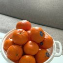 [온브릭스 과일 후기] 카카오톡 선물하기 귤 만다린 1.5kg 내돈내산