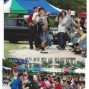 월평초교 이미지