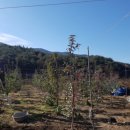 민성농장 이미지