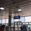 백양농장 | [제주] 3박4일 여행 #1일차 백양닭집 / 우무 / 협재해수욕장 / 통나무파크 / 꽃향유 / 랑지다