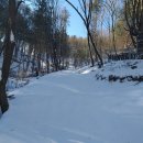 솔안농장 이미지