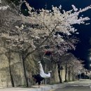 대명두산아파트 버스승강장 | 2025년 4월 일상