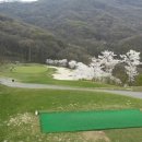 마론컨트리클럽 이미지