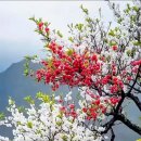 전주팔복초등학교 이미지