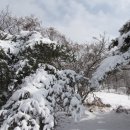 다운목장 이미지