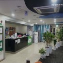 아일랜드골프존