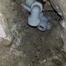 동양파크 이미지