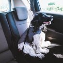 J&C메디칼 이미지