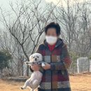 노블리안 형산 독채한옥풀빌라