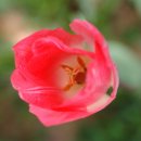 파워포인트 2010 이미지