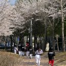 무진 태권도장 이미지