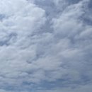 한국차문화공원 관광안내소 이미지