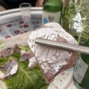 금오 아일랜드 펜션 | 3박4일 여름 가족여행기-금오도 가족펜션 내돈내산 추천 '금오아일랜드 펜션' 그리고 직포항 전갱이 낚시!