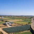 제주스테이 이미지