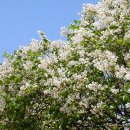 창영농원 이미지