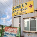 야옹이의 보물창고(폐업) | 김포 빈티지샵 옷파는야옹이 재방문후기