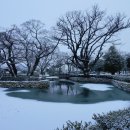 숲속의 빈터 이미지