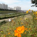석수역1번출구 앞 이미지