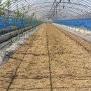 무지개농장 2 이미지