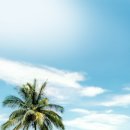 주식회사 페이지랩 이미지