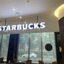 프리즈마 111 이미지