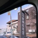 전주남부시장 | 전주 남부시장 야시장 주차 먹거리 다녀온 후기