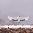 357과 우리가 신께 하는 모든 요청에 진실이 응답하며, 처음에는 기적들로 응답하고, 다음에는 그 자신이 되어서 우리에게 되돌아온다. 이미지