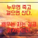 노인스포츠지도사 필기 이미지