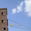 백옥대로2438번길 이미지