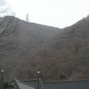 마하사 Daum카페
