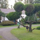 제주타이펜션 이미지