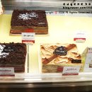 달로와요 이미지