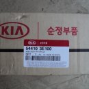 안즘