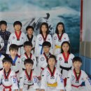 백호태권도 이미지