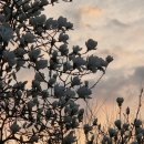 포천시보건소 1층 로비 | 자취생 꿀팁 하나 소개합니다 | 공짜로 영양교육&amp;오나오 만들기(보건소 활용법)