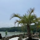 정다운식품 | 여수예술랜드(대관람차 타워링), 여수 서시장, 카페 라피끄, 여수게장 정다운식당, 주부떡집(호박시루떡)