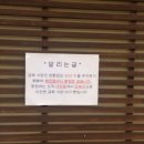 금화스포츠