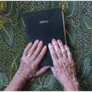 유박의원 이미지