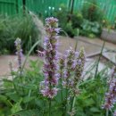 넘은들근린공원 이미지