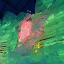 산천어마을 이미지