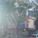 정동빌딩 | 냥콘보러 왔다가 여행하고 가지요 : 4월 서울(+인천)