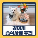 신퍼피클럽 동물병원 | 밥 안먹는 강아지 습식사료 추천 클럽4포우즈 가수분해 사료