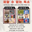 40대 애둘맘 영양제 내돈내먹 피엠주스 5개월 찐후기 찐추천