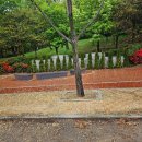 은행나무길카센터 이미지